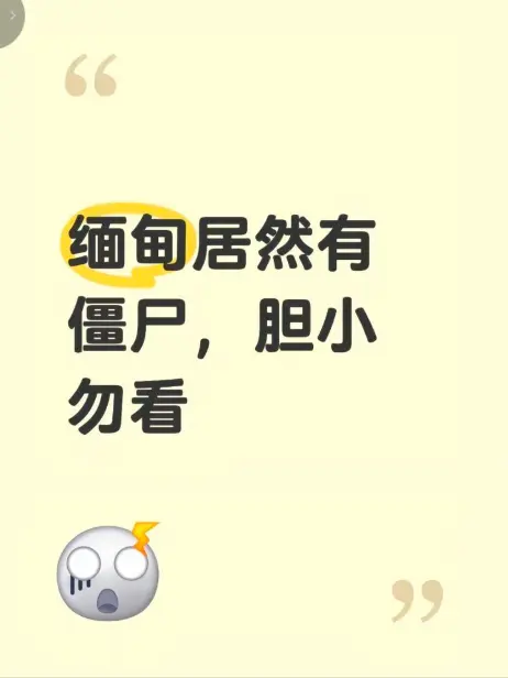 《缅甸僵尸出土事件》高清无删减在线免费观看 - 缅北僵尸出土事件真相全程录像揭秘 - 缅甸僵尸出土事件视频最新完整版播放