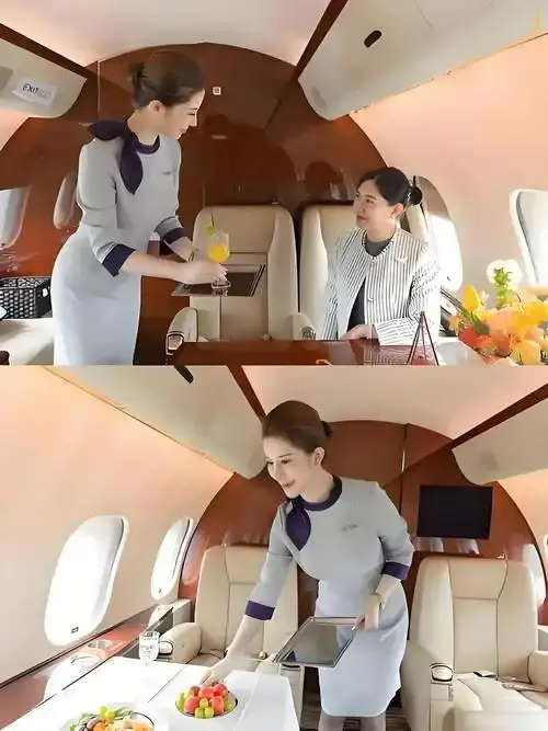 《私人航空/法国航空》未删减版HD高清在线观看-法国电影完整版免费播放-私人航空/法国航空无弹窗-飘花影院
