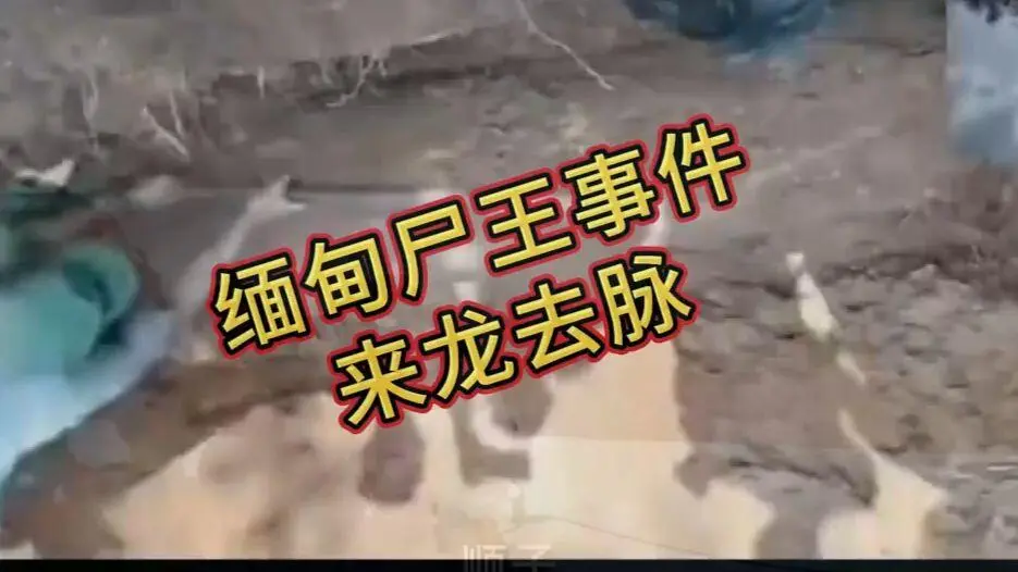 《缅甸僵尸出土事件视频》完整版资源在线观看免费播放 - 诡异真相解密高清下载 未删减全程录像 爆火视频