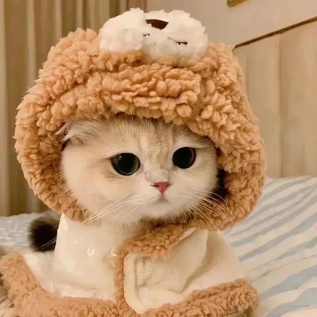 佳木斯新玛特迪桑特女销售导购事件视频资源下载 - 完整现场在线观看 - 全网震惊后续结果太离谱